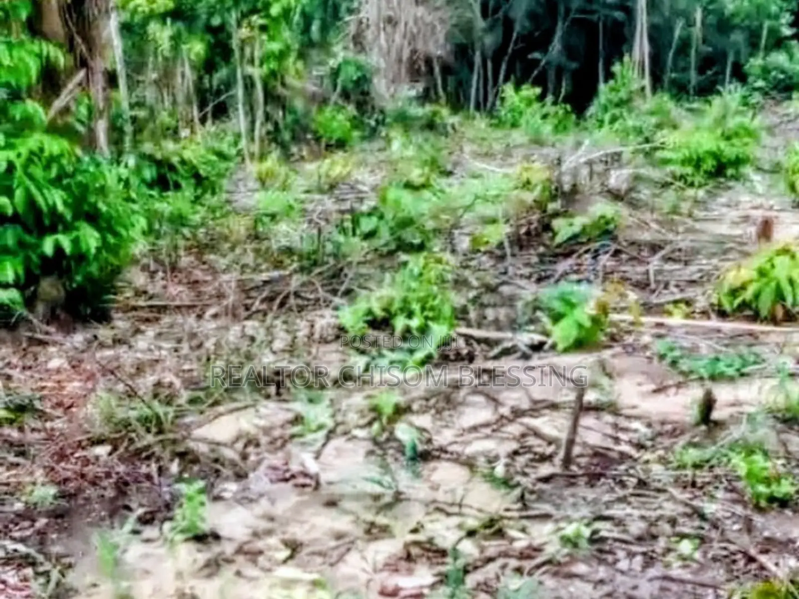 2 Plots on a Distress Sale at Bishop Nwaedo Estate Umuahia