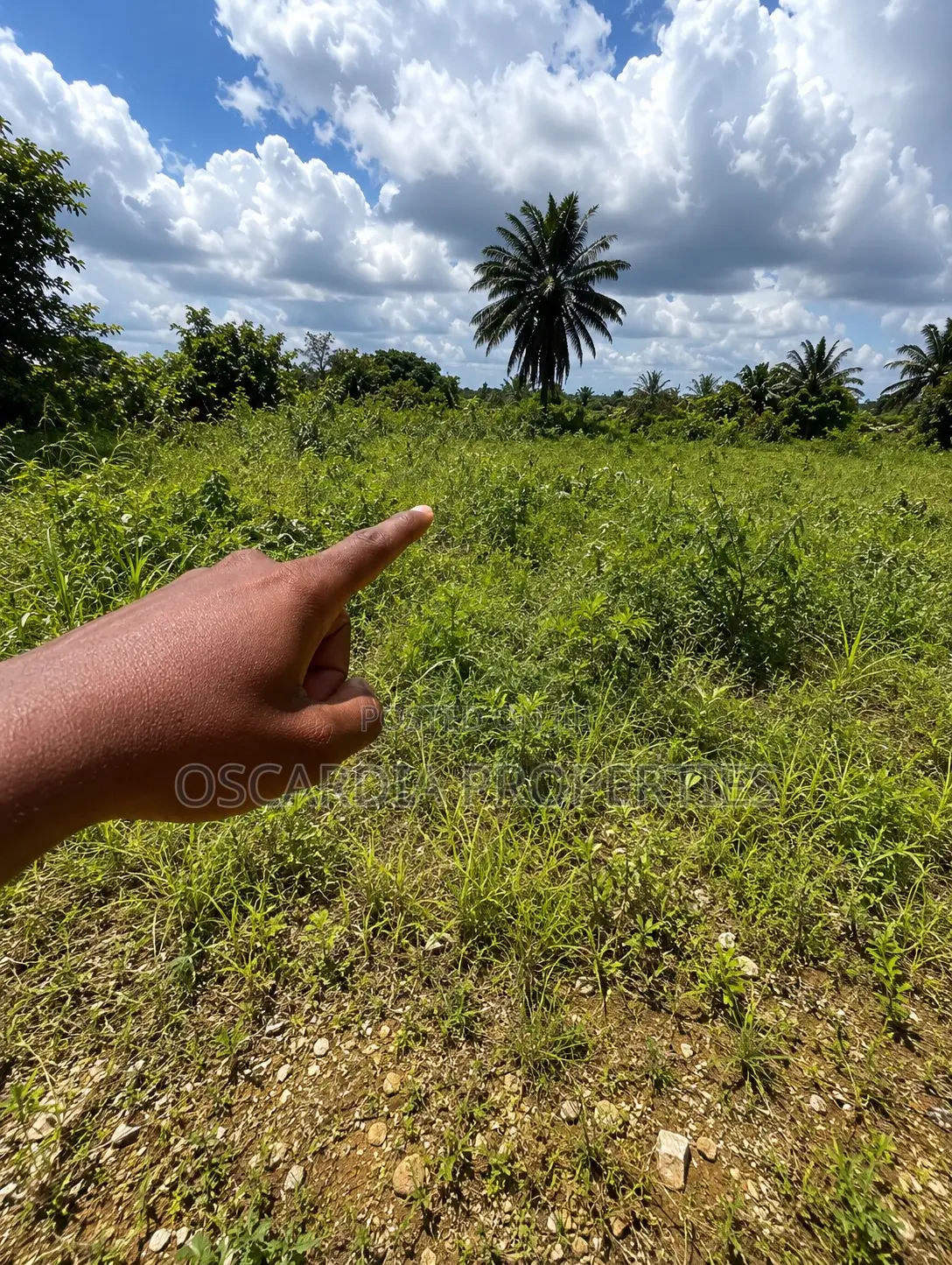 For SALE |Commercial Land Directly Facing Lekki–Epe Expressway, Lakowe