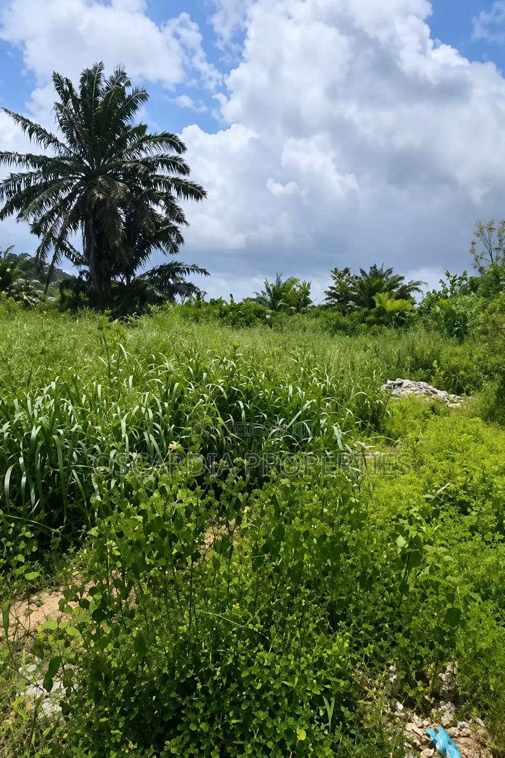 For SALE |Commercial Land Directly Facing Lekki–Epe Expressway, Lakowe
