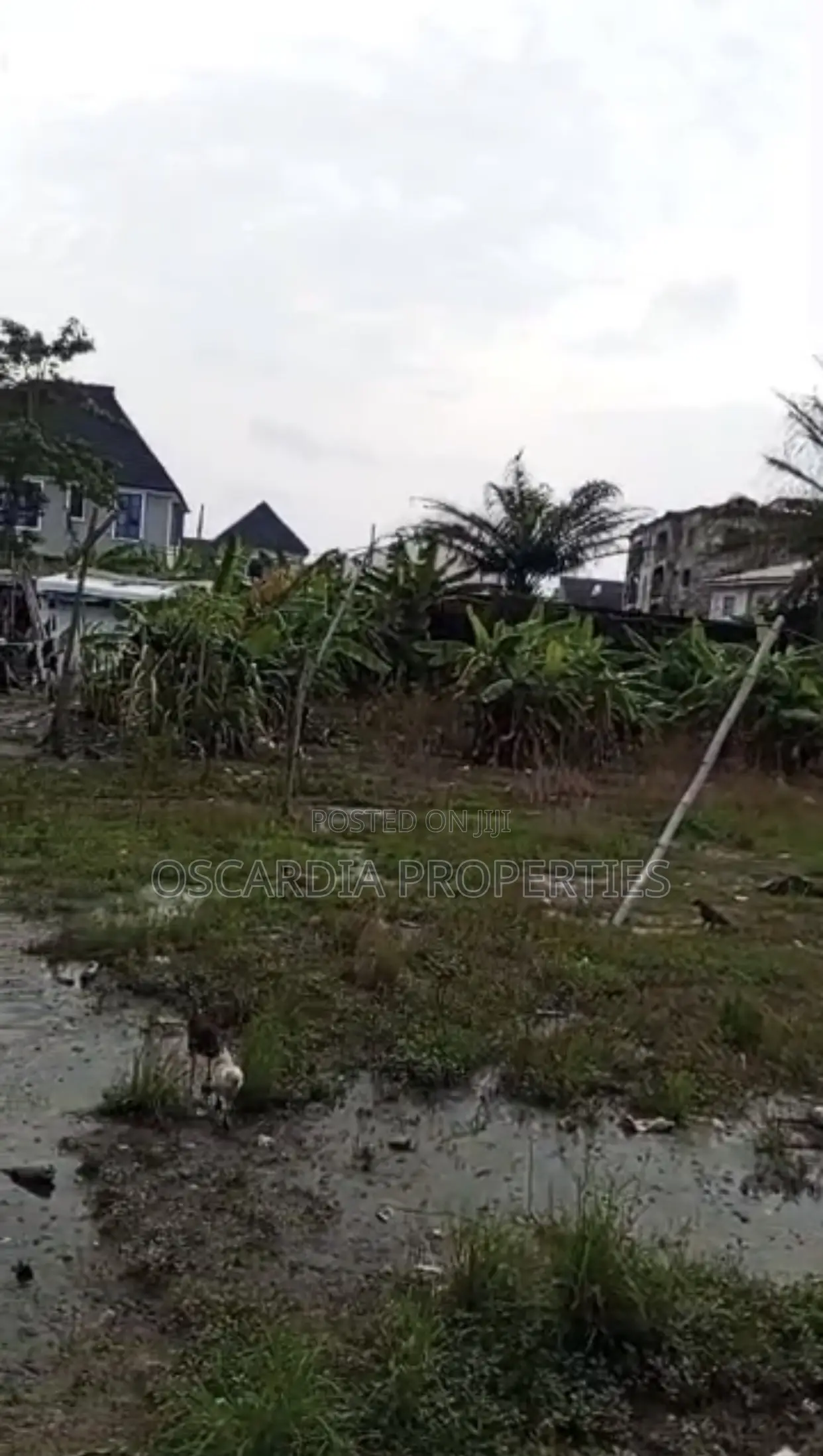 LAND FOR SALE at Lagos Business School, Olokonla, Ajah