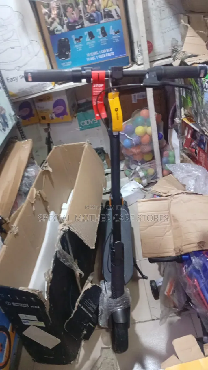 Biggest Electric Scooter