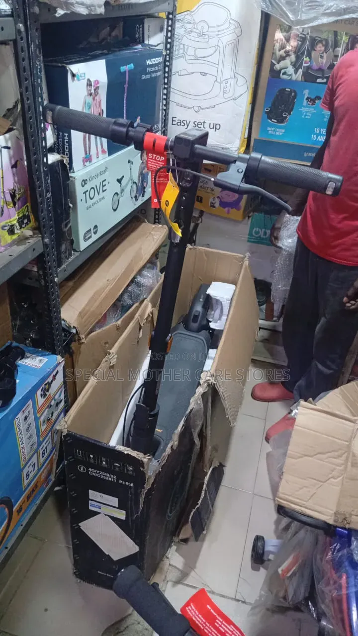 Biggest Electric Scooter
