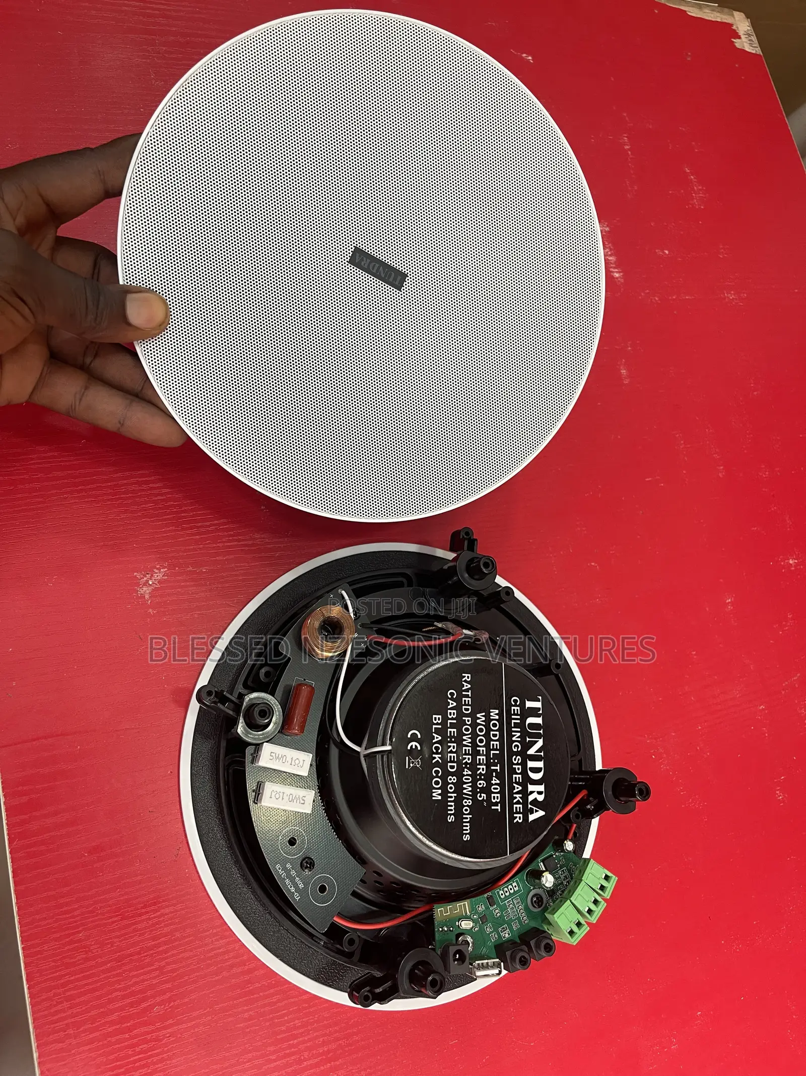 BT Ceiling Speakers