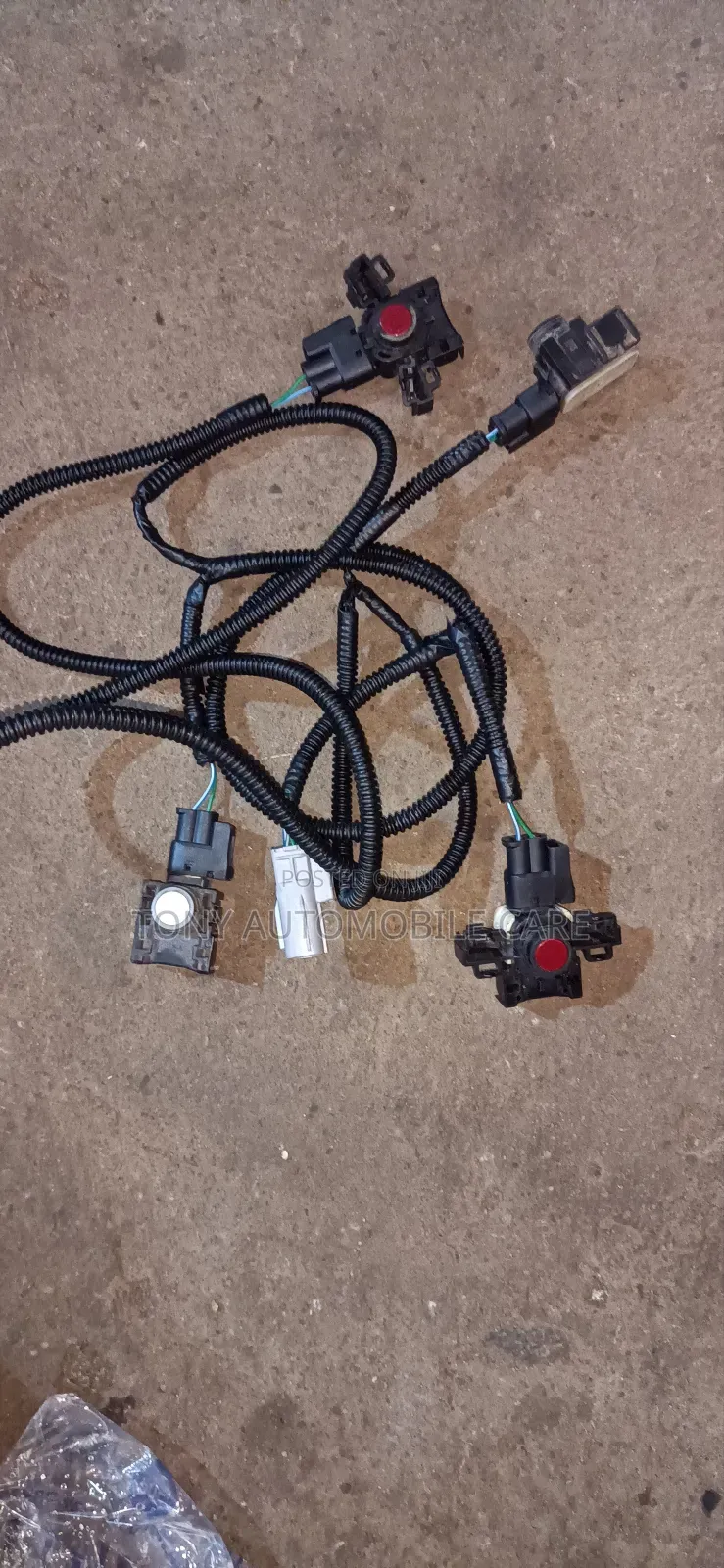 Complete Bumper Sensor and Wire for ES350 2015