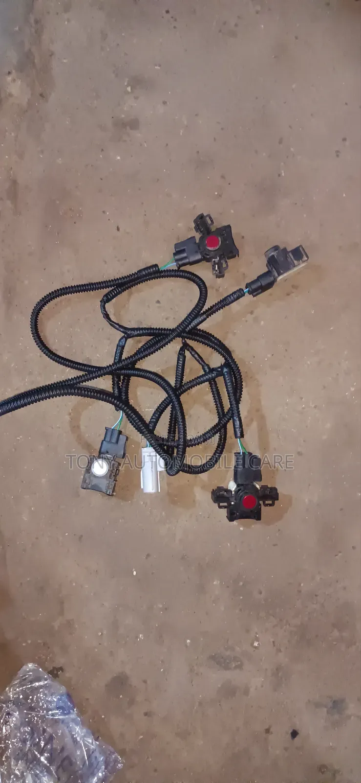 Complete Bumper Sensor and Wire for ES350 2015