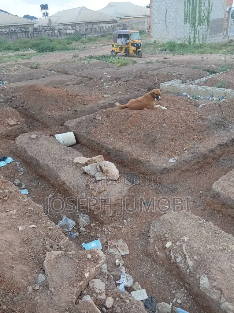 Commercial Plot