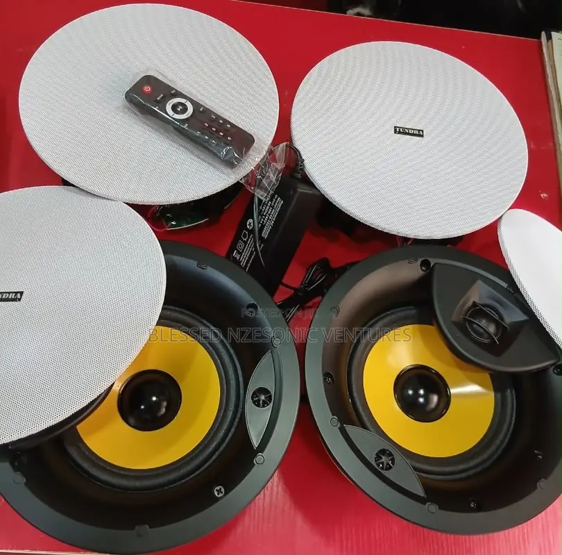 Tundra Ceiling and Pop Speaker