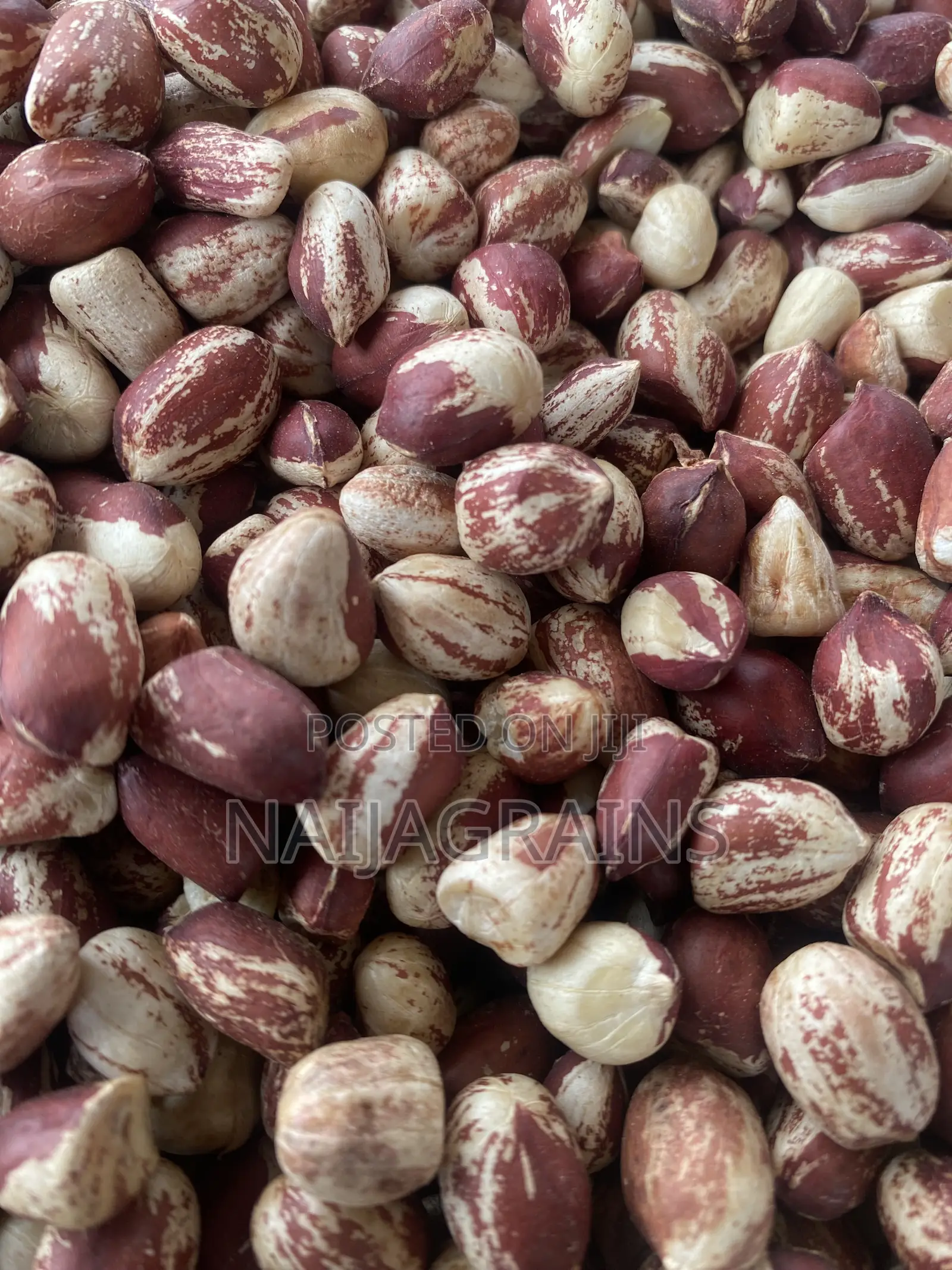 Premium Kampala Groundnut | Clean, Big Seeds | Wholesale Retail