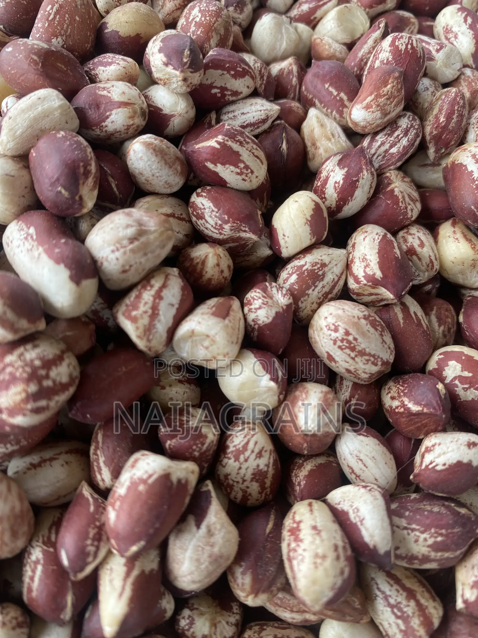Premium Kampala Groundnut | Clean, Big Seeds | Wholesale Retail