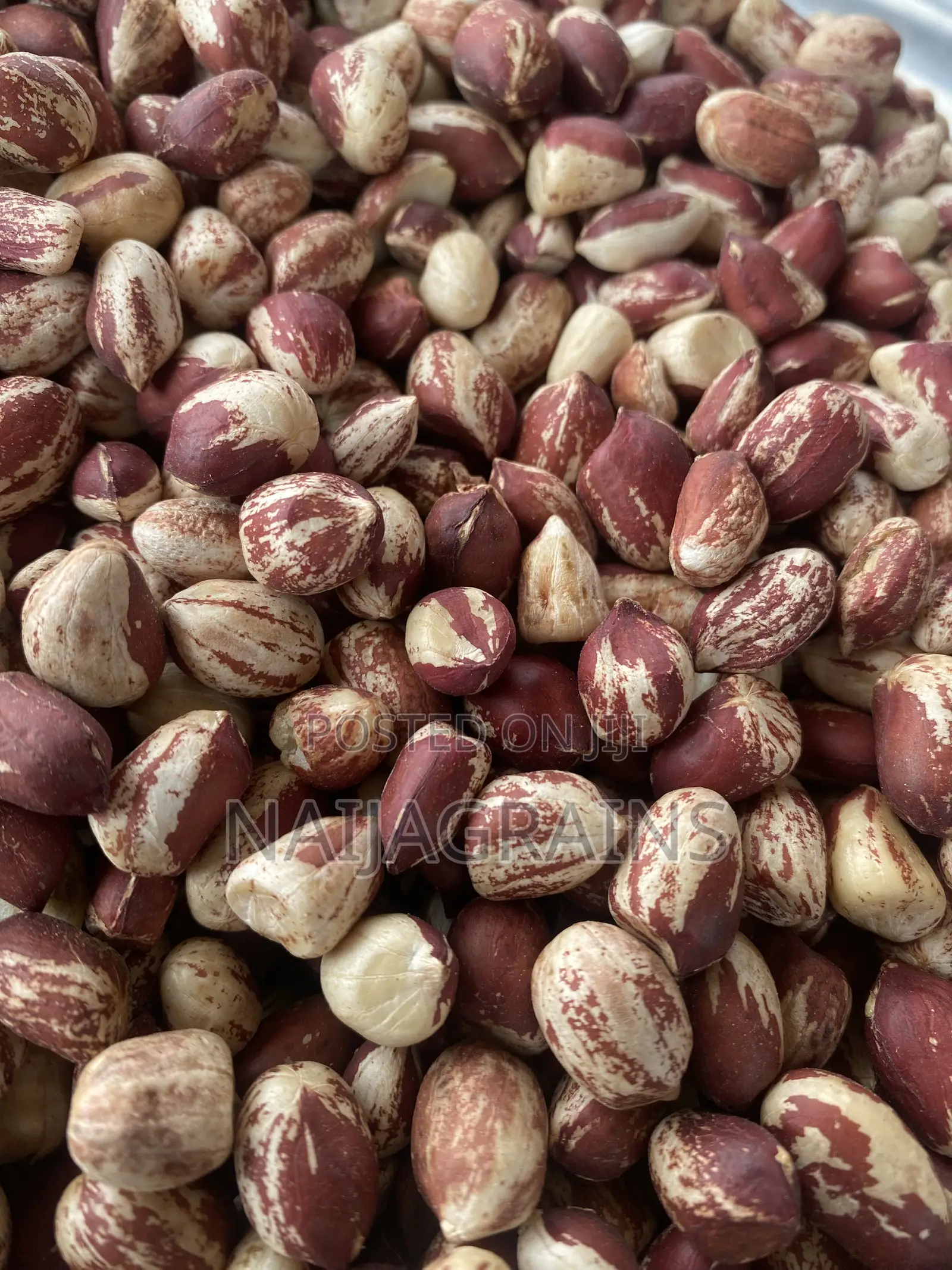 Premium Kampala Groundnut | Clean, Big Seeds | Wholesale Retail