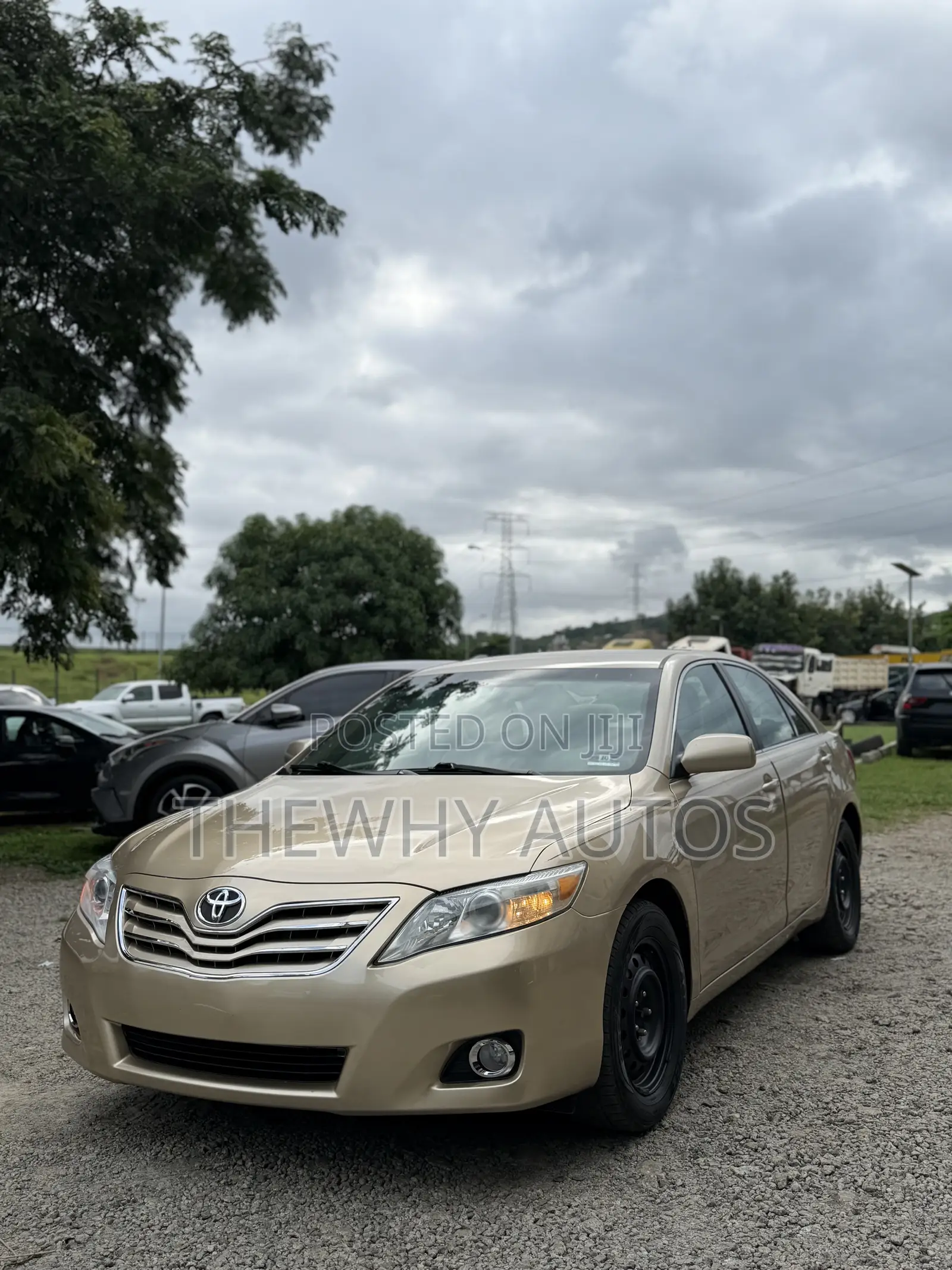 Toyota Camry LE 4dr Sedan (2.5L 4cyl 6A) 2011 Gold