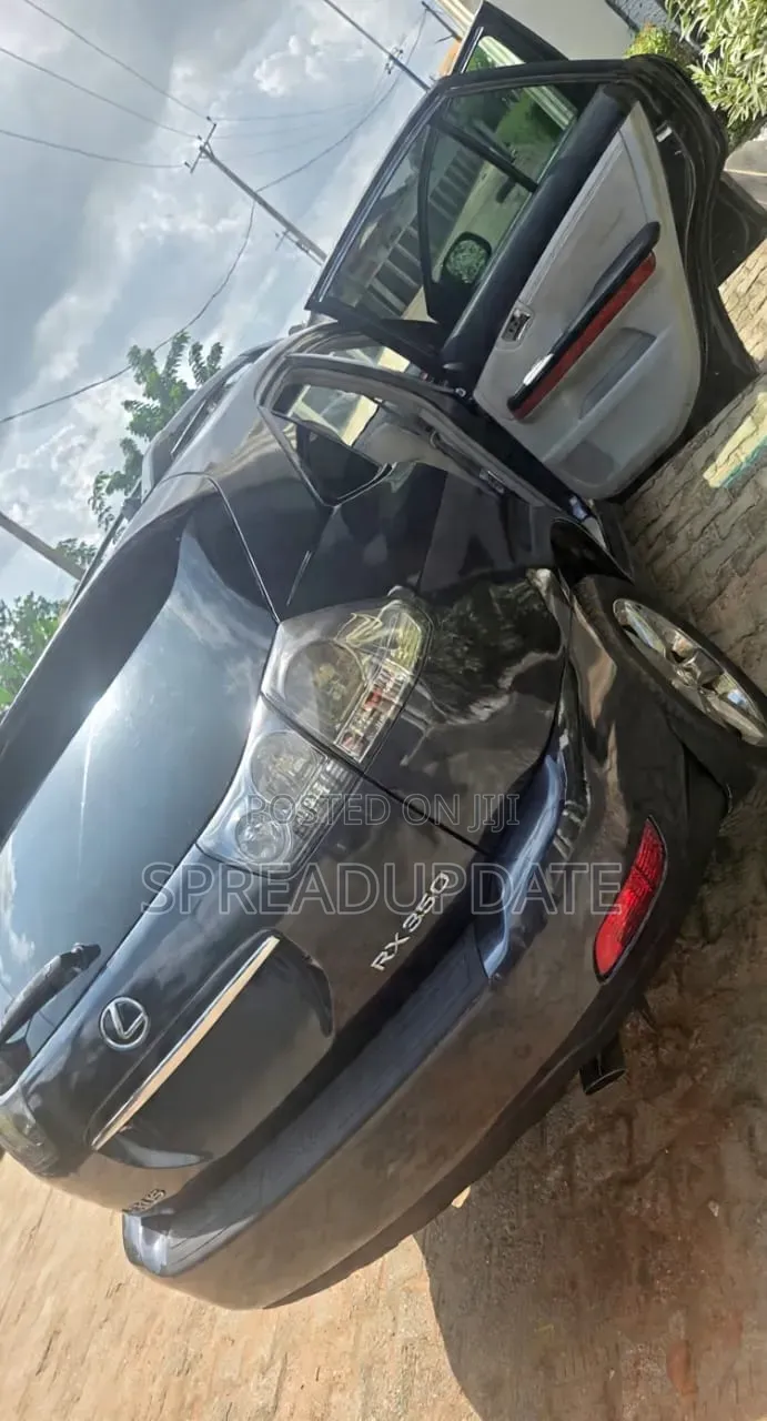Lexus RX 2009 Gray