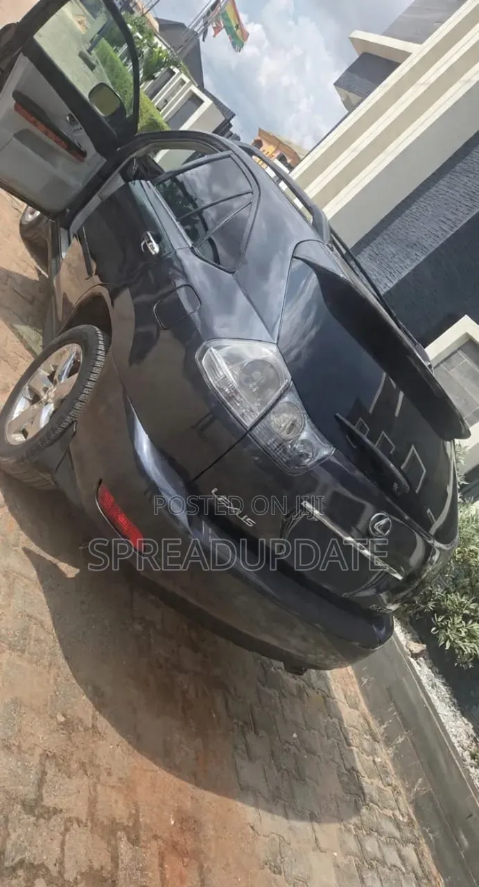 Lexus RX 2009 Gray