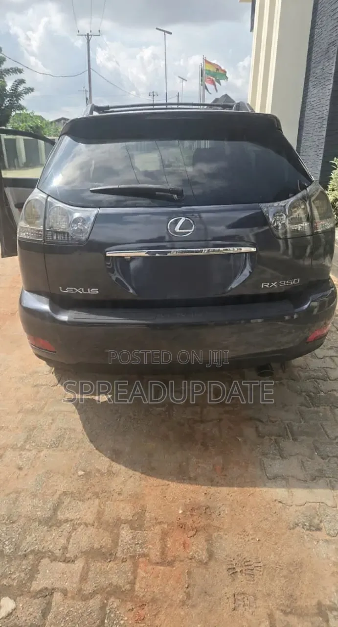 Lexus RX 2009 Gray