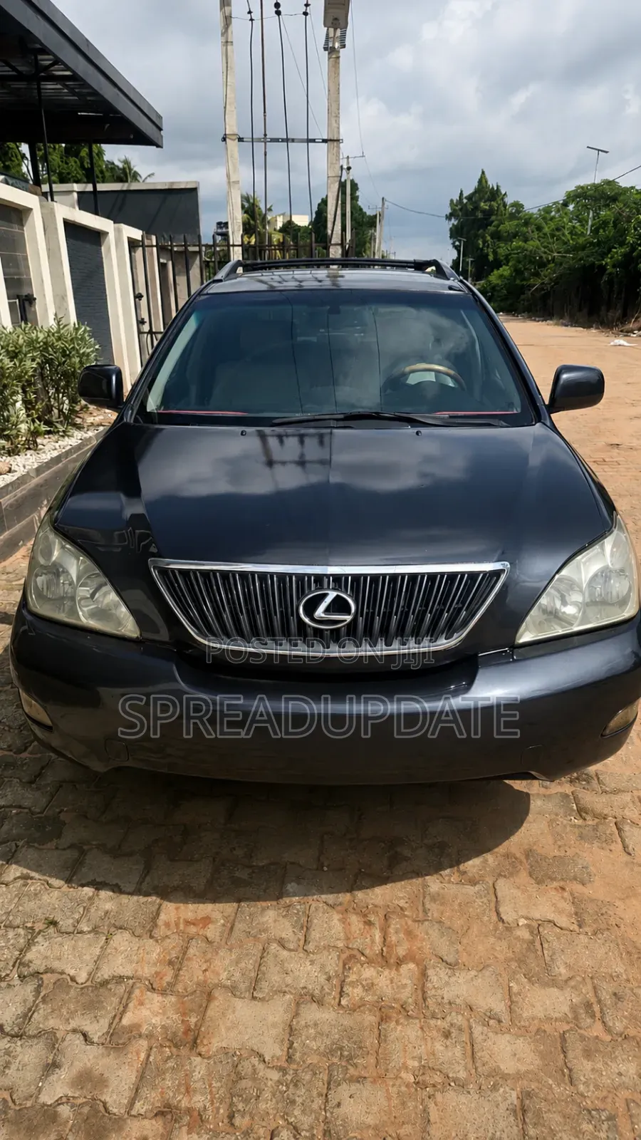 Lexus RX 2009 Gray