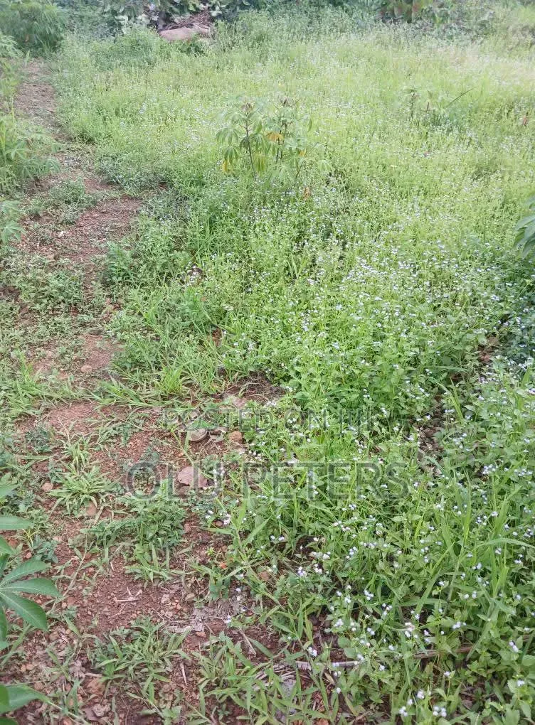 10 Acres of Land for Sale