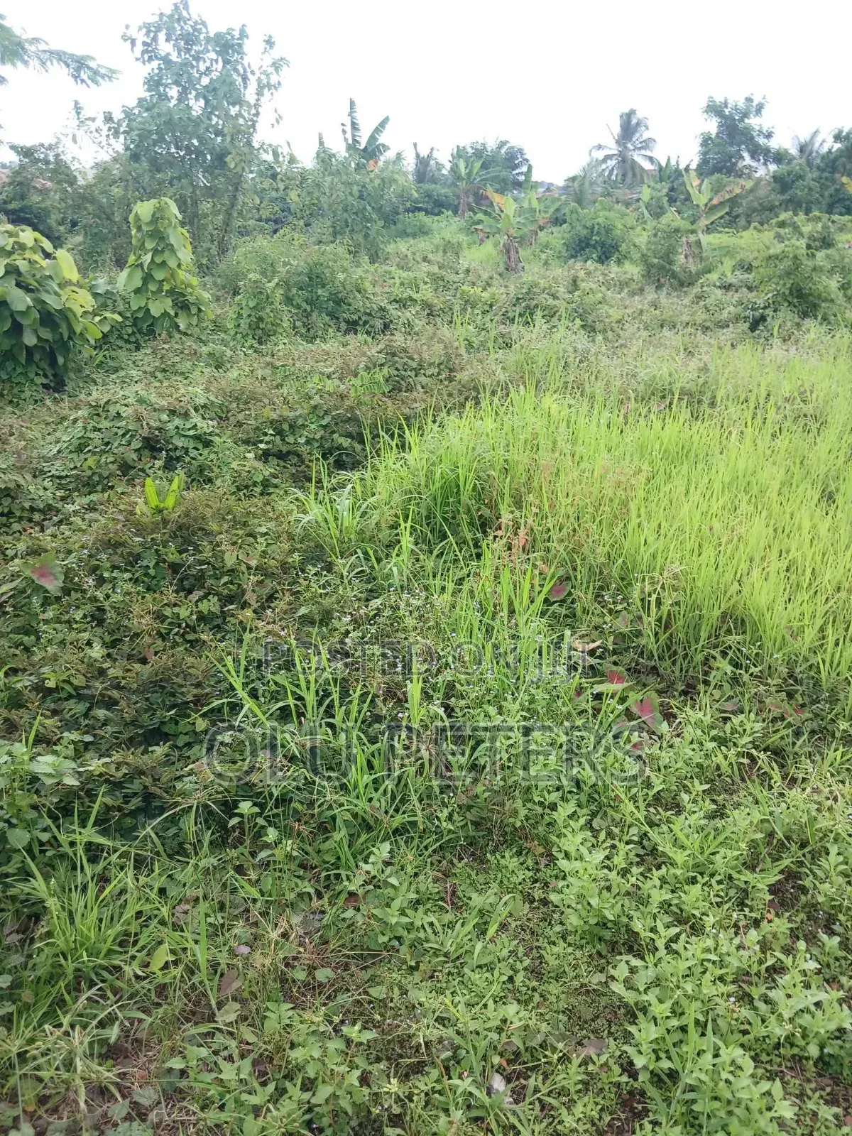 10 Acres of Land for Sale