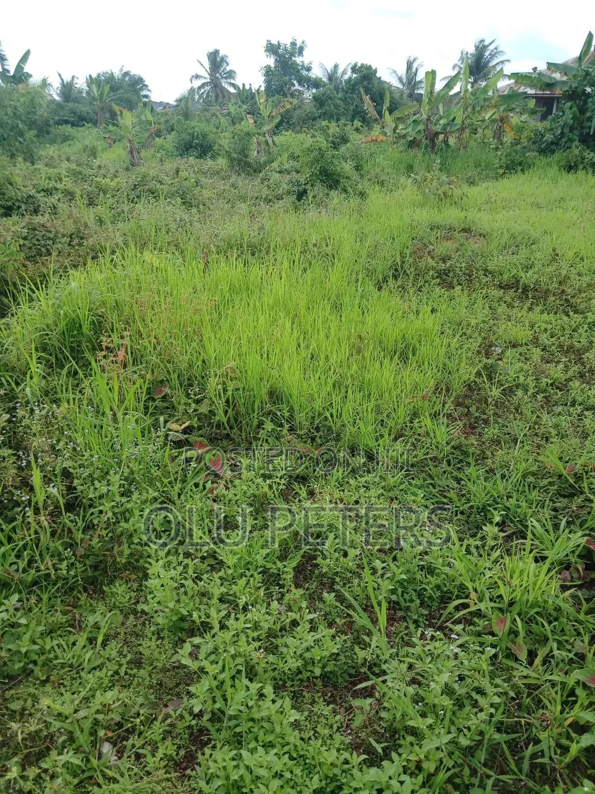 10 Acres of Land for Sale