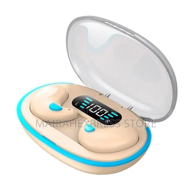 X55 Extra Bass Earbuds