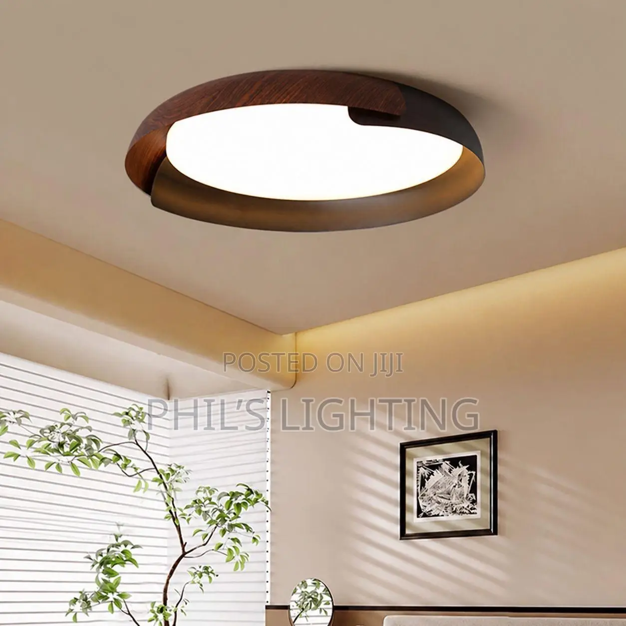 Ceiling Light Luxury