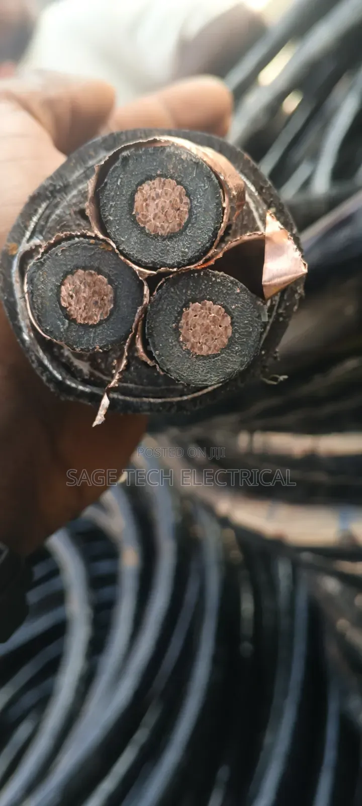 50mm 3core XLPE 11kv Armoured Cable