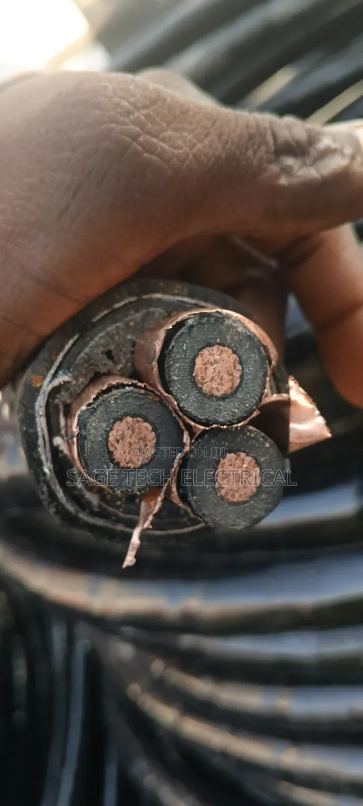 50mm 3core XLPE 11kv Armoured Cable