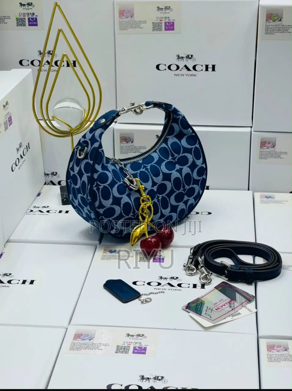 COACH Chic Bag
