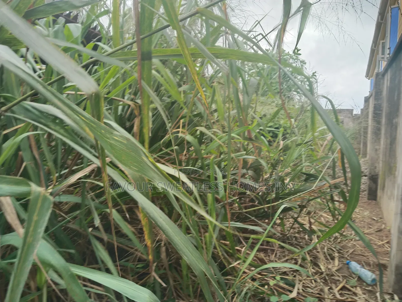 Lovely Half Plot of Land at Magboro