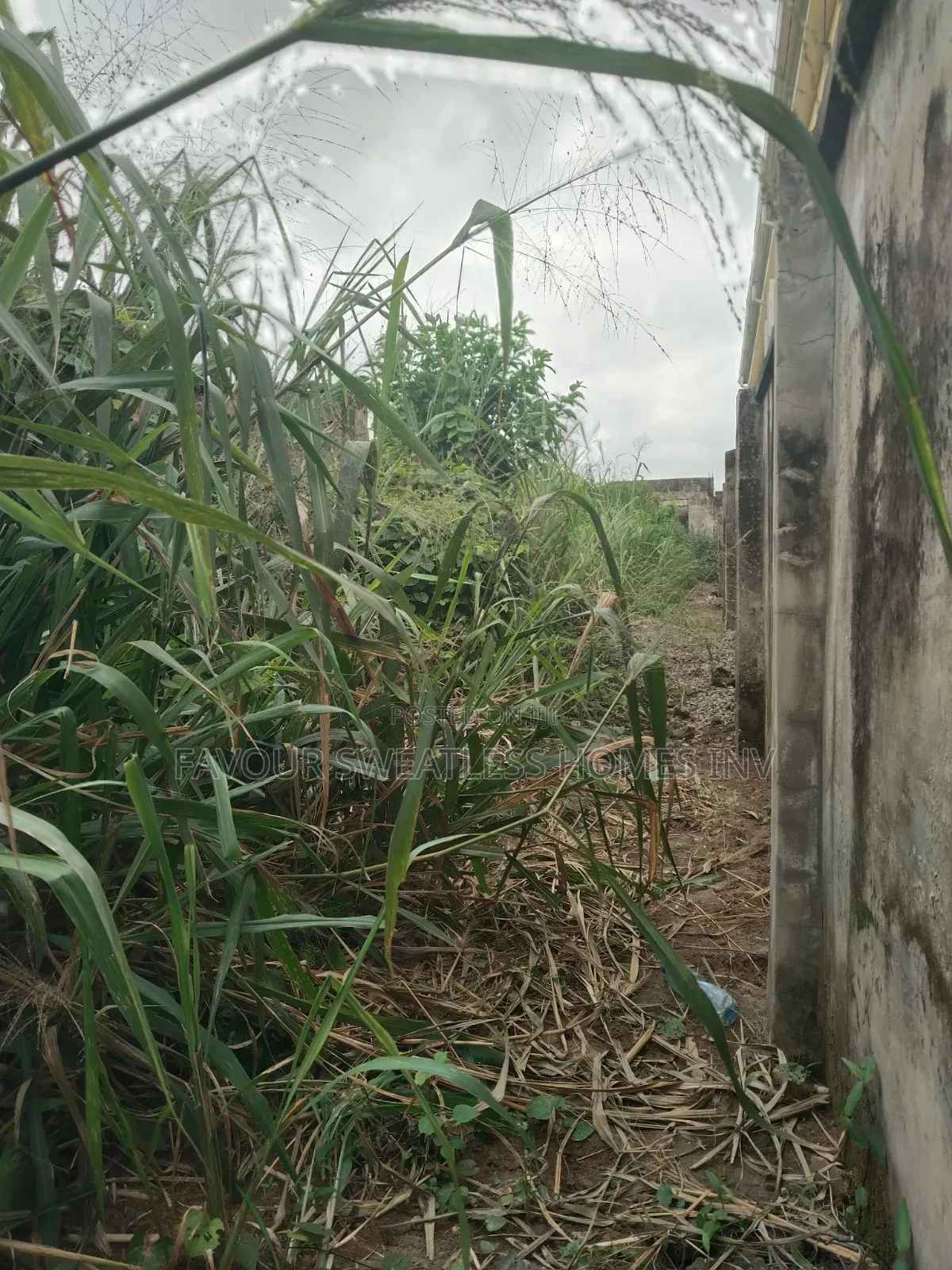 Lovely Half Plot of Land at Magboro