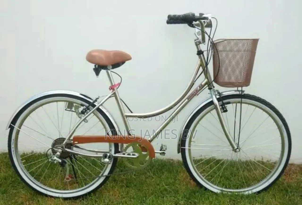 Premium Women Bicycle – Fashionable Reliable Ride