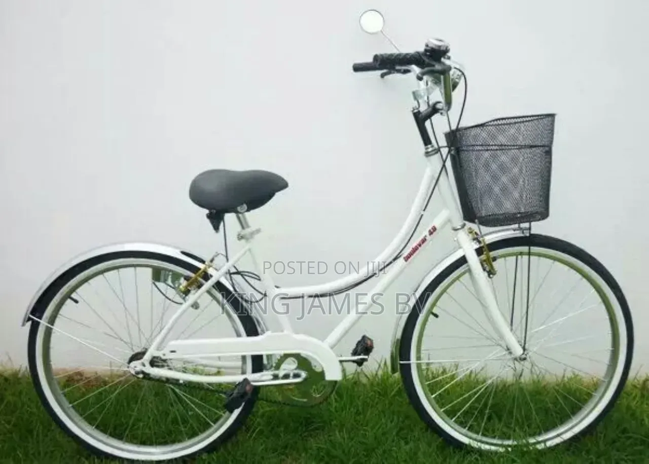 Ladies City Bicycle – Comfortable Urban Transportation