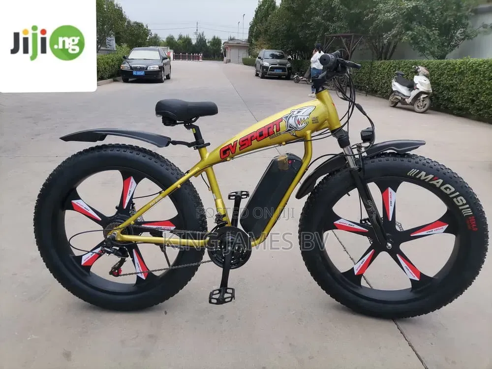 Big Cat Electric Bicycle – Powerful Comfortable Electric Ride