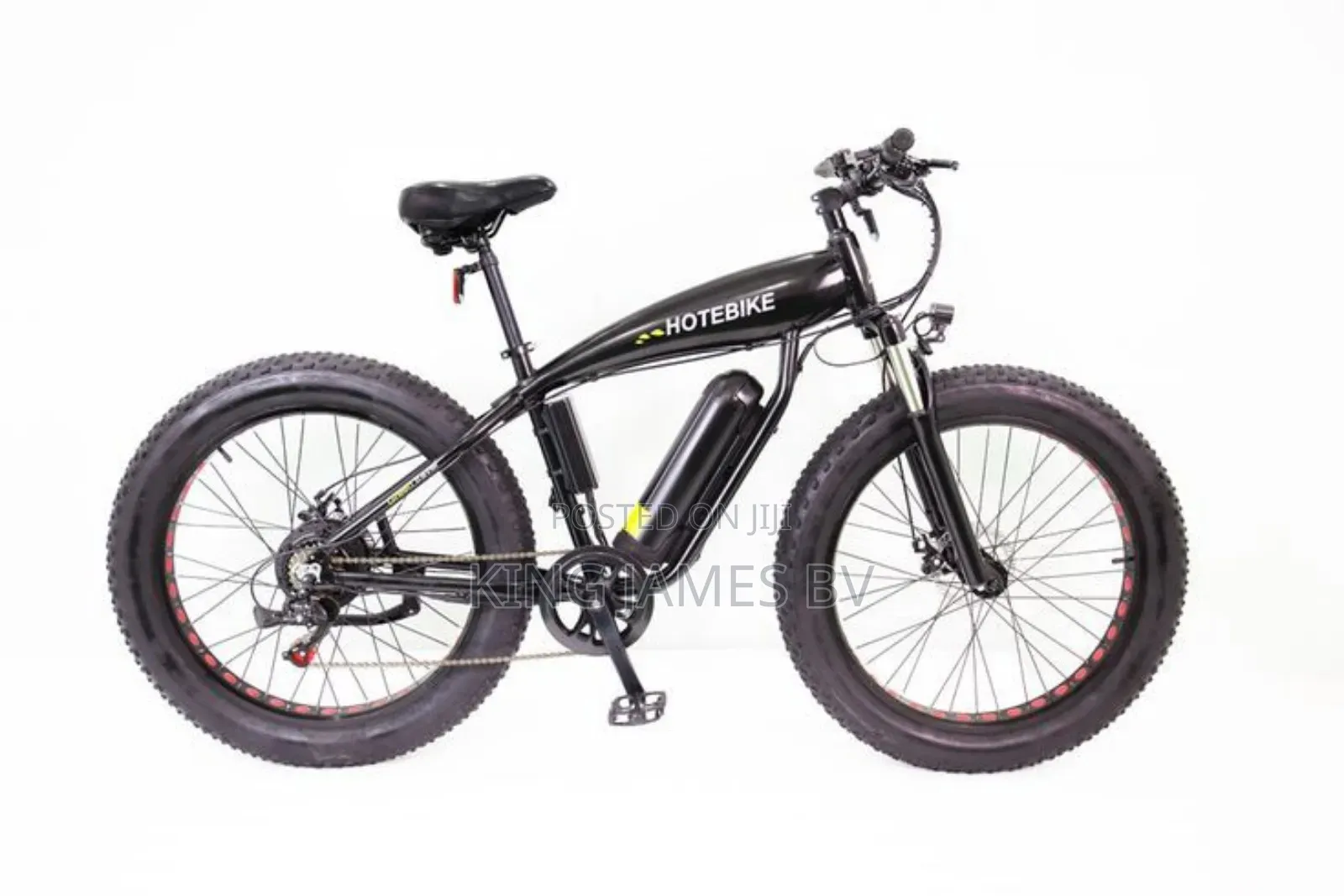 Big Cat Electric Bike – Premium Smart Transportation Solution