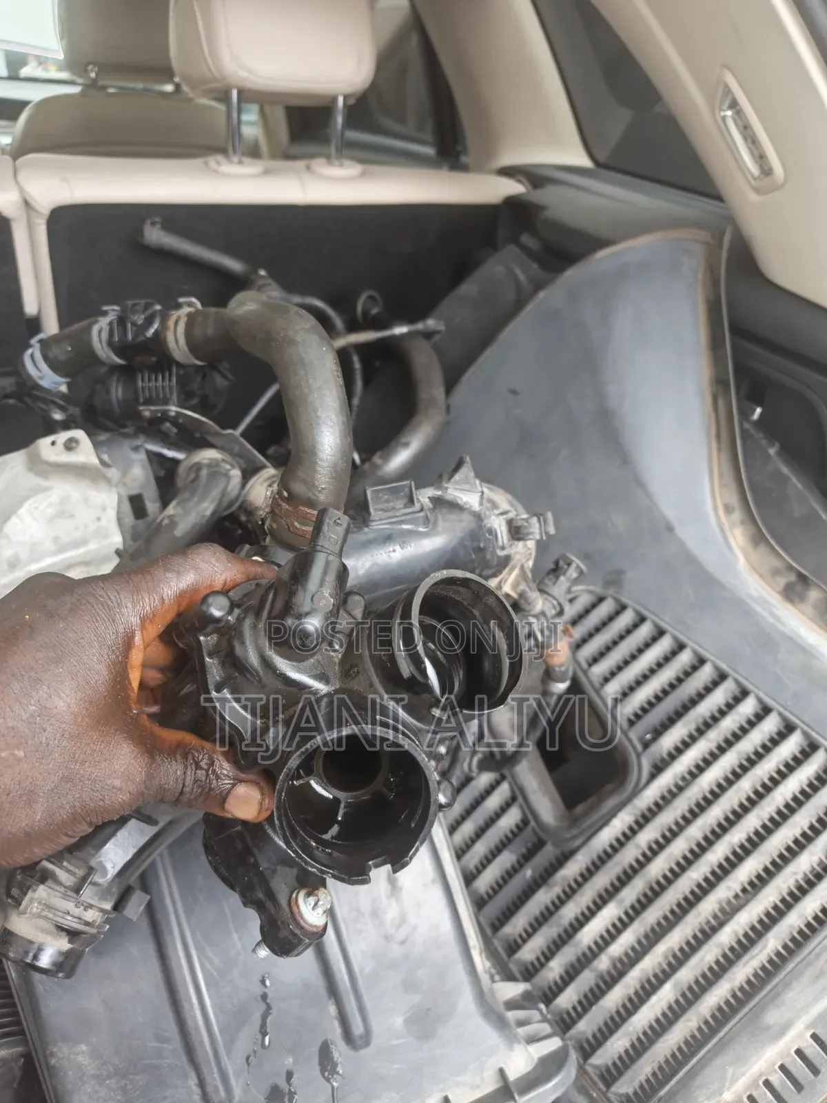Professional Mercedes-Benz Mechanic