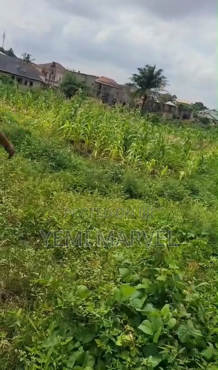 648sqm of Land at Olusoji, Oluyole, Ibadan