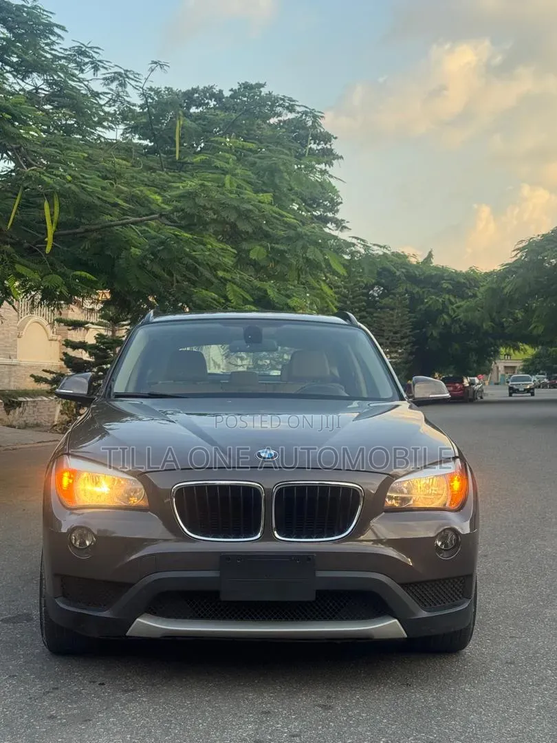 BMW X1 2013 Brown