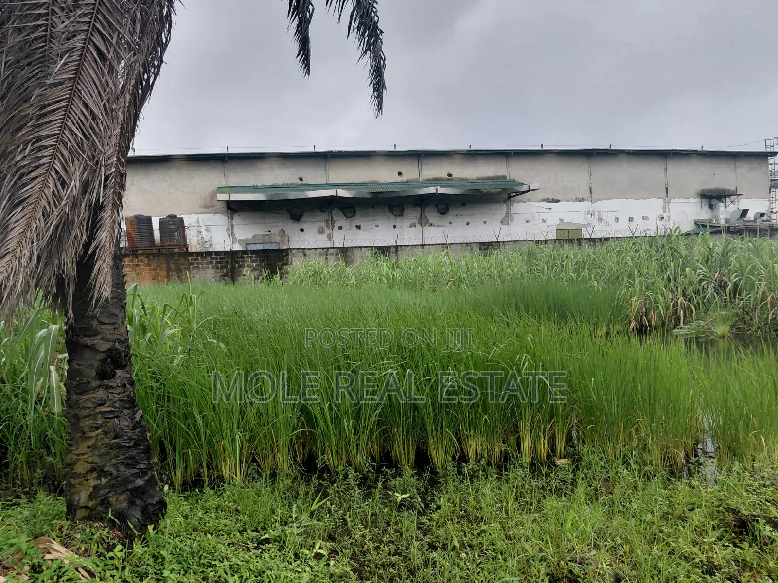 30ft by 120ft Half Plot by Bokuno Bridge Isheri Alimosho Lagos