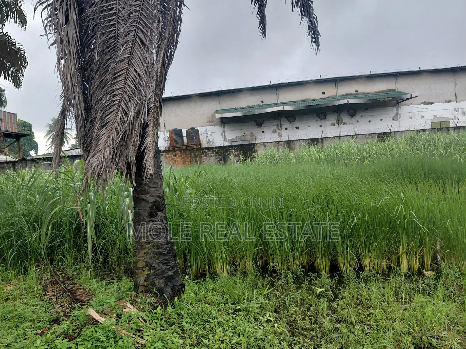 30ft by 120ft Isheri Bokuno Bridge Festac Link Road