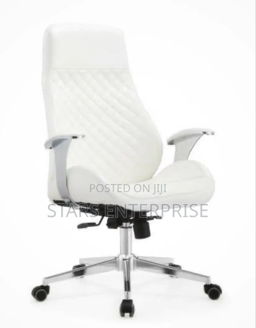 Office Chair / Adjustable Chair