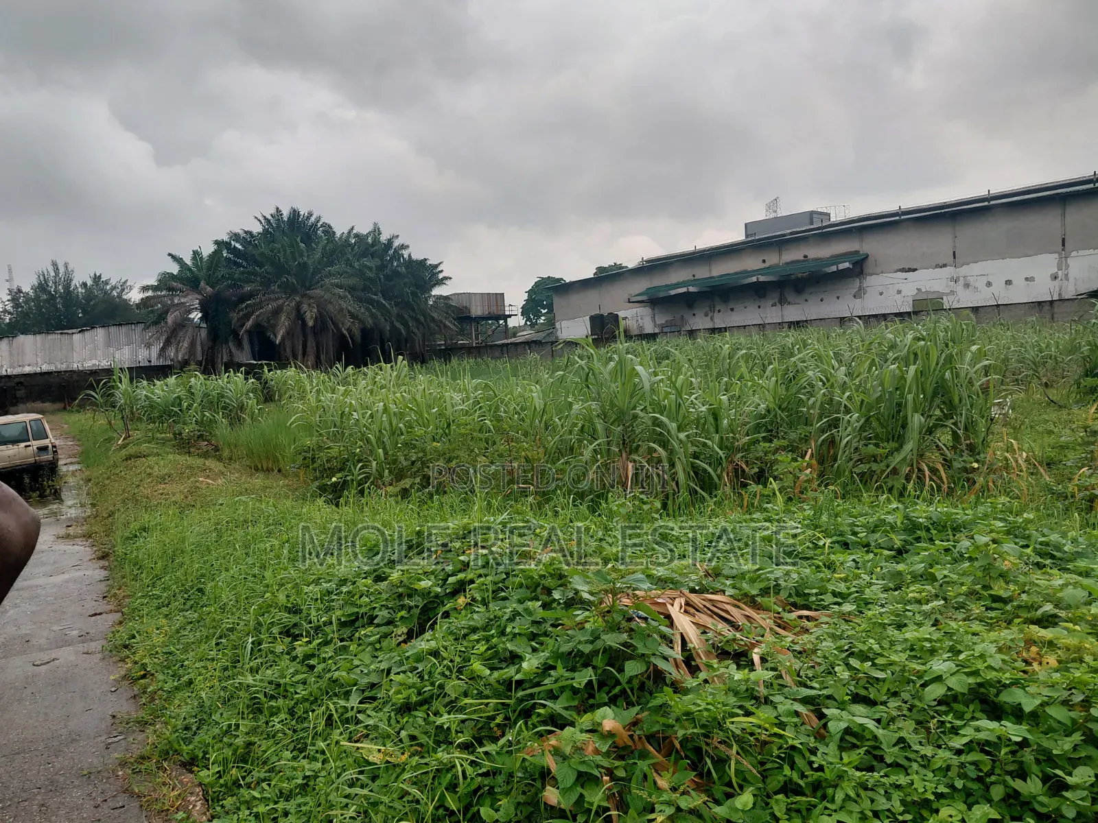 30ft by 120ft Half Plot Ijegemo Near Ikotun Alimosho Lagos
