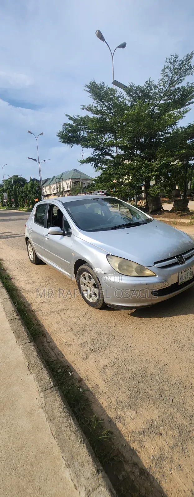 Peugeot 307 2004 Silver
