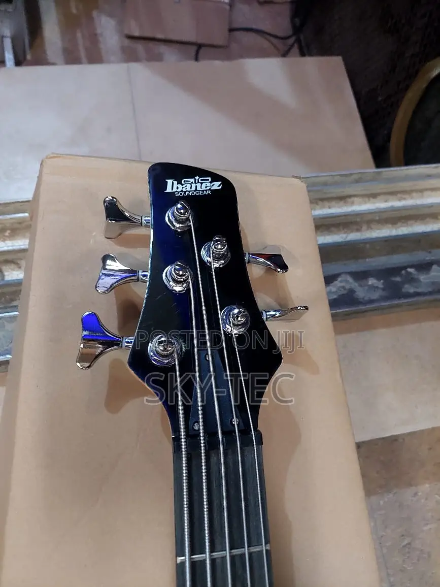 Original Professional Ibanez 5-Strings Bass Guitar Passive