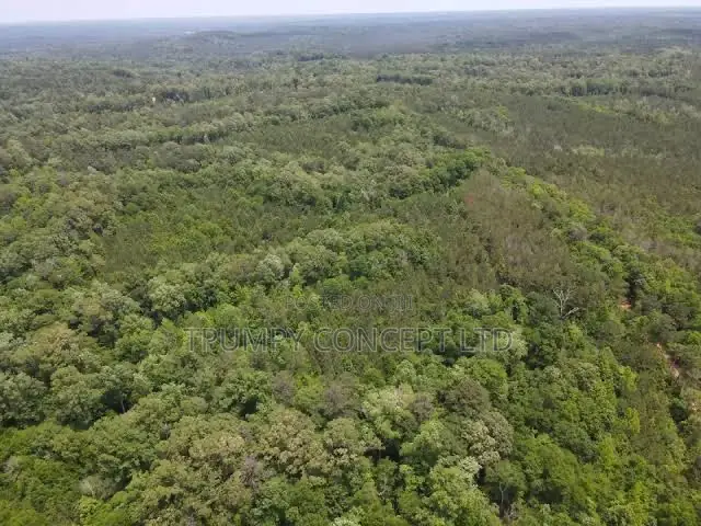 27 Acres of Prime Estate Land for Sale – Lagun, Ibadan
