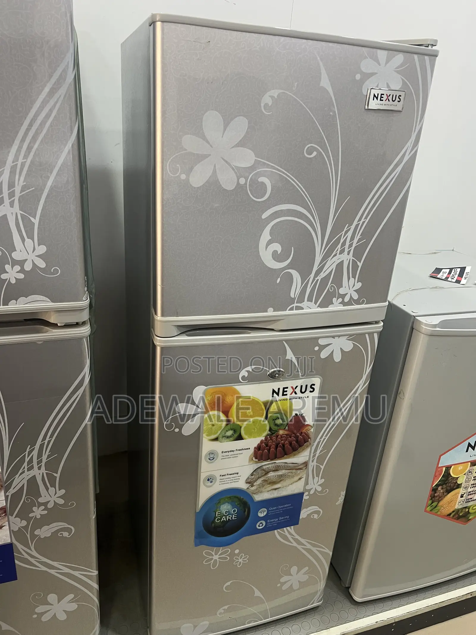 Nexus 145litres Fridge Silver With Flower Design Nx-175