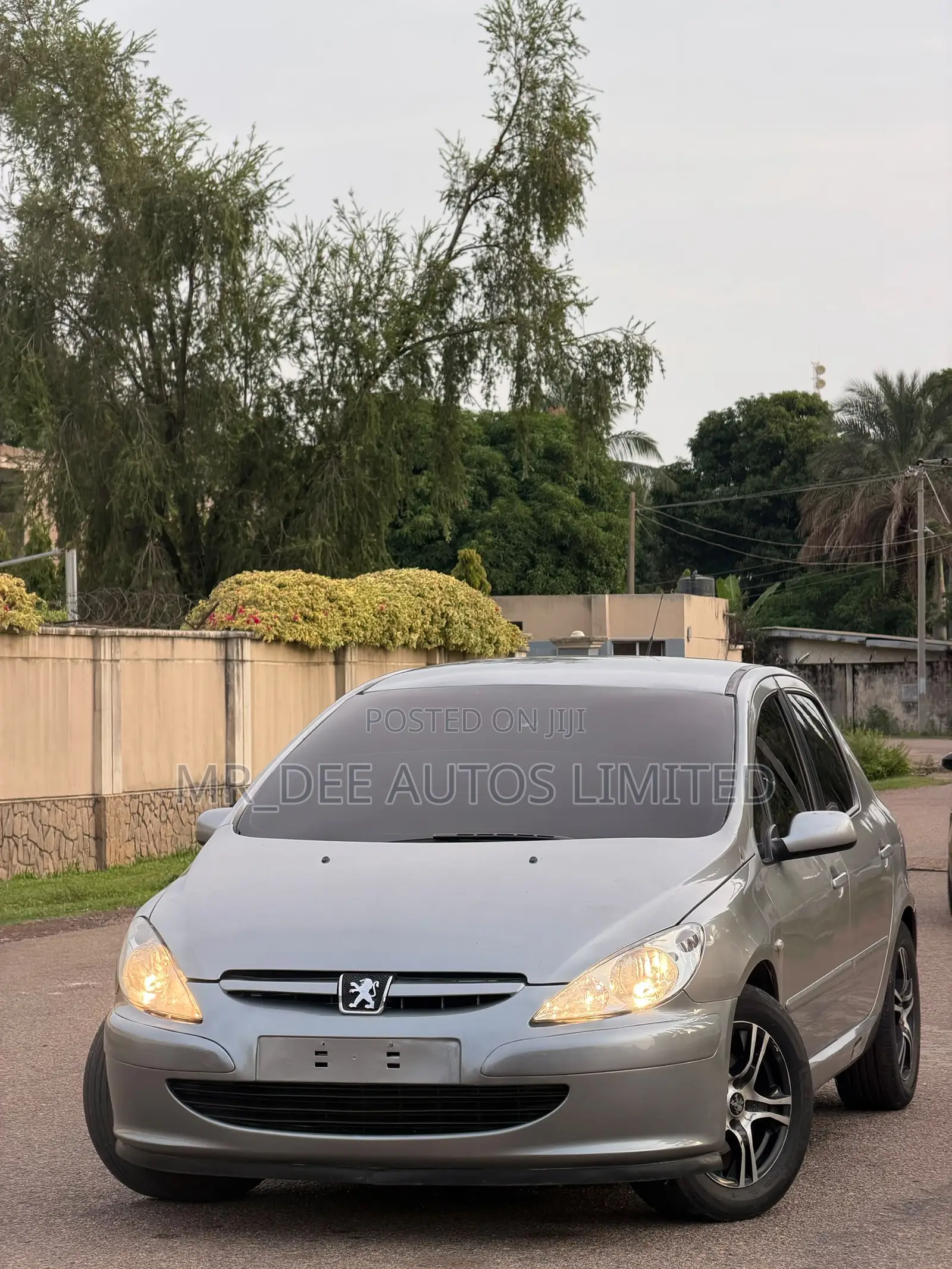 Peugeot 307 2007 Silver