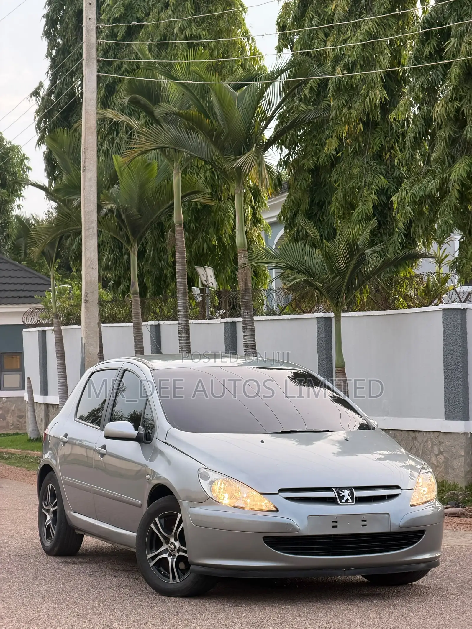 Peugeot 307 2007 Silver
