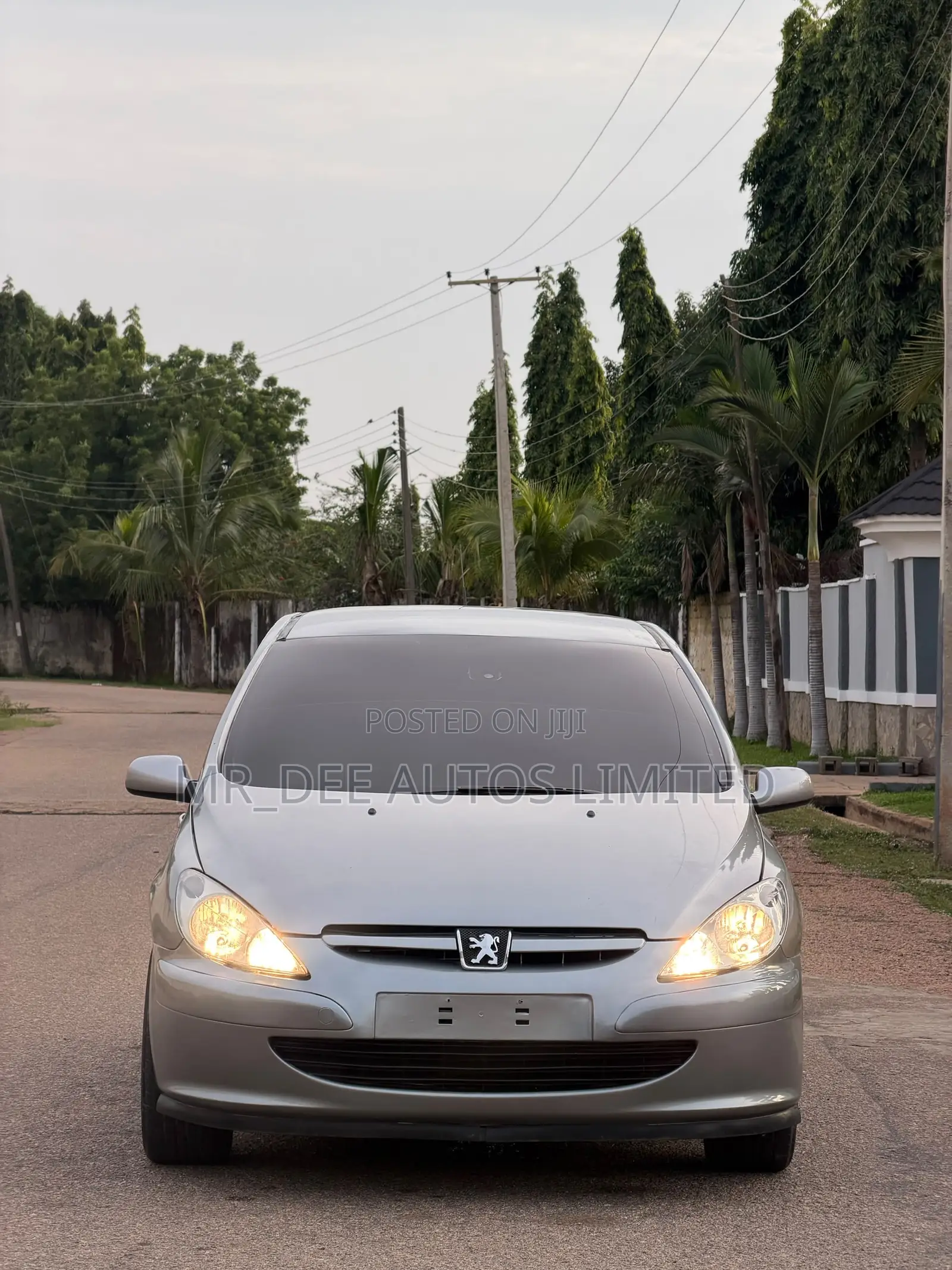 Peugeot 307 2007 Silver
