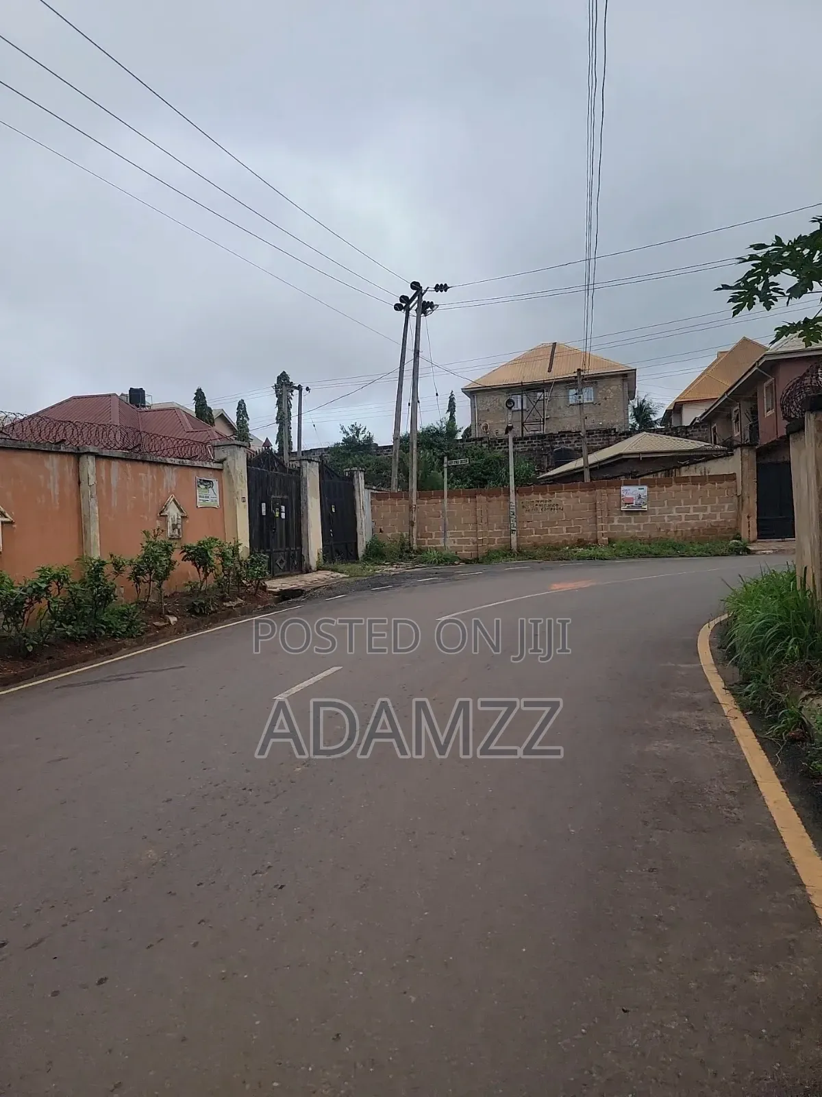 Coner Plot in Damija