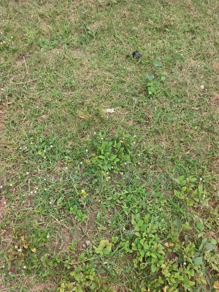 Commercial Land for Sale in Lugbe, Abuja. 3000 Sqm.