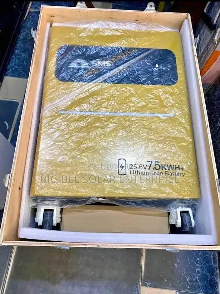 4.2kva 24v Welion Inverter and 7.6kwh 24v SMS Lithium Battery Set Up